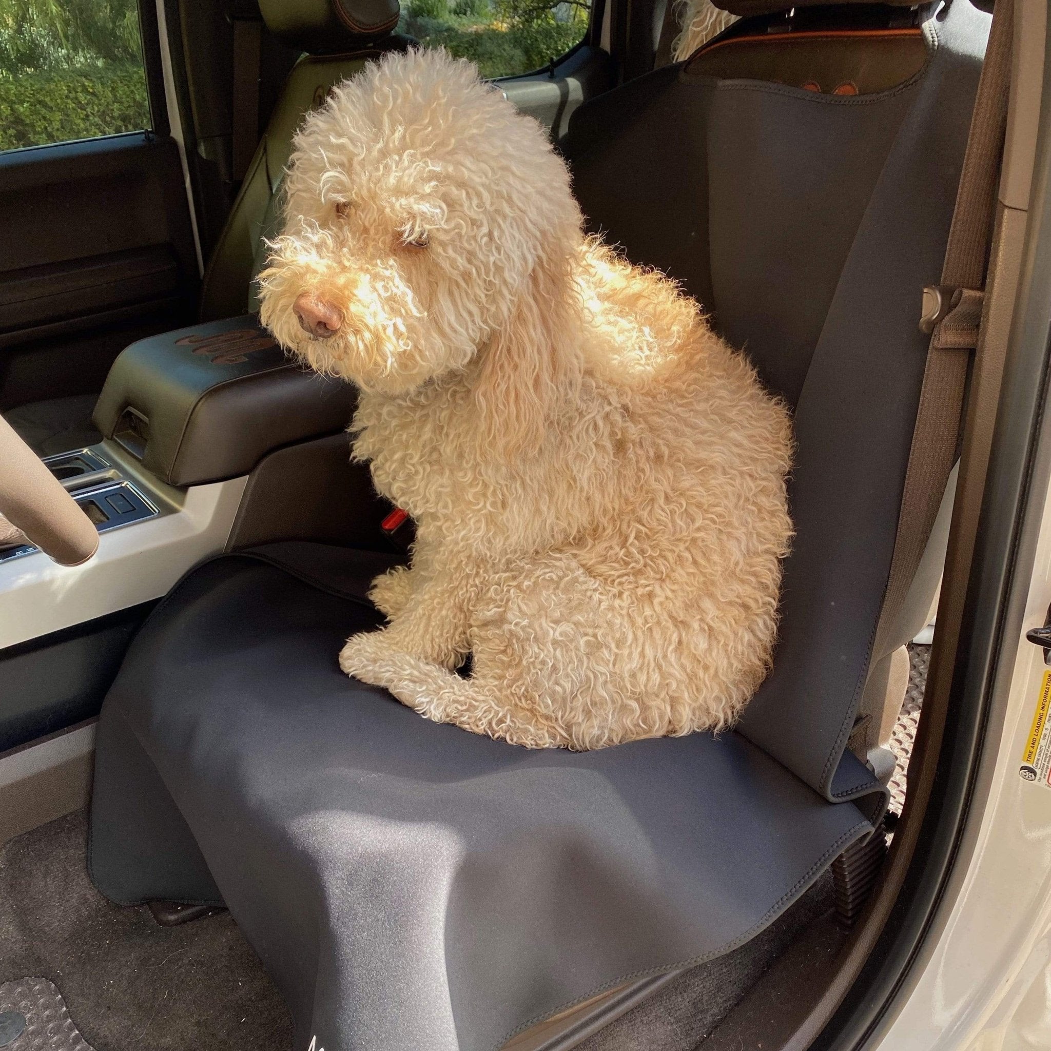 SeatGuard Non - Slip Waterproof Car Seat Cover (2 Pack) - Malo'o Racks